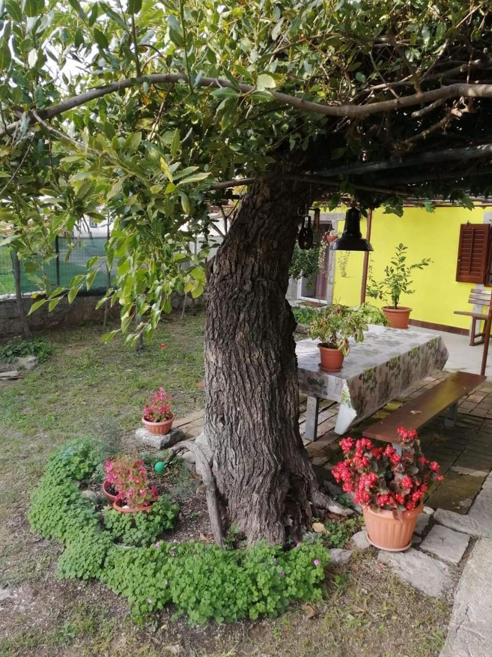 Holiday House Nono Labin  Exterior photo